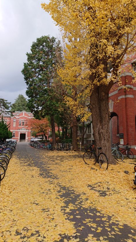 伴チャって意外と難しいですね KYOTO UNIV ROWING CLUB