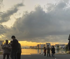 コースの近くまで行って撮る元気はなかった