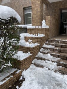 雪降りました。僕は寒くて部屋にこもってました。