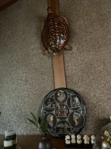 祖母の家の壁にかかっていウミガメのはく製
